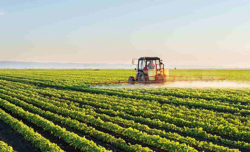 Сельское хозяйство